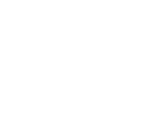 wbl-05 Brand Logo SATURN