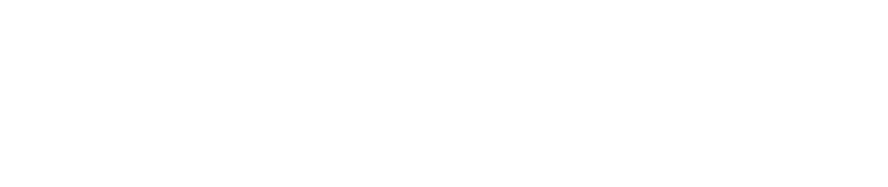 wbl-06 Brand Logo Navien