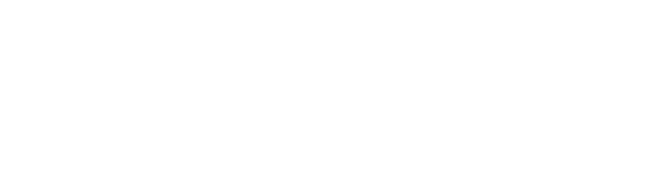 wbl-07 Brand Logo DUCA